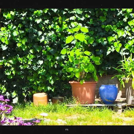 Homestay Agnes Limoux