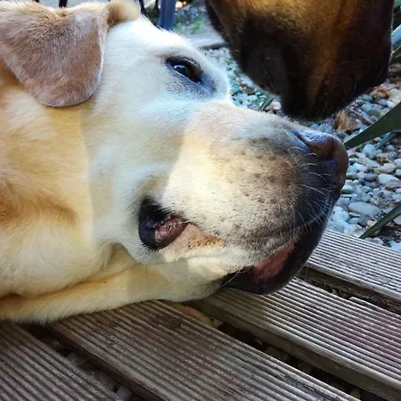 Agnes Séjour chez l'habitant *