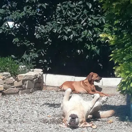 Agnes * Limoux