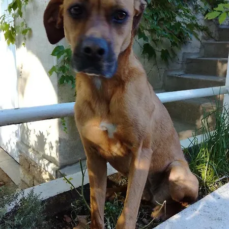 Agnes Privat bolig *