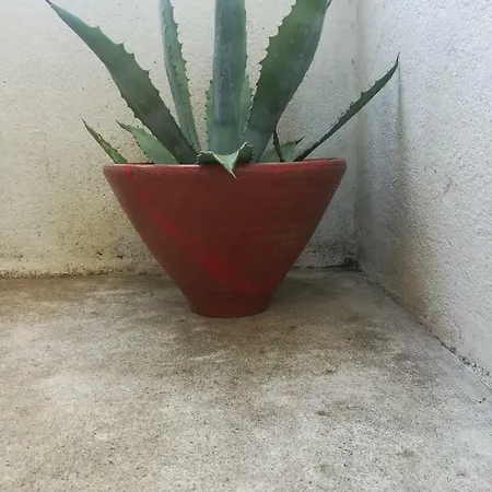 Agnes Quarto em Acomodações Particulares Limoux